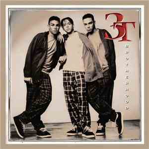 3T - Brotherhood download mp3 flac
