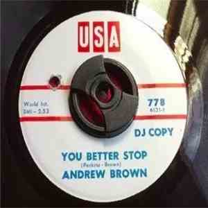 Andrew Brown - Something Can Go Wrong / You Better Stop download mp3 flac