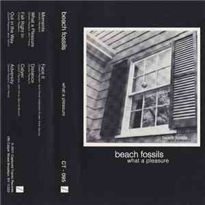 Beach Fossils - What A Pleasure download free