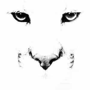 Berny - Shplatten (Remixes) download free