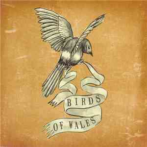 Birds Of Wales - Fall Of The 49 download mp3 flac