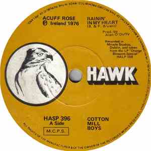 Cotton Mill Boys - Rainin' In My Heart download mp3 flac
