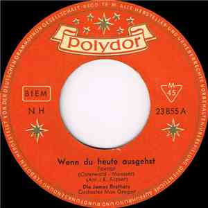 Die James Brothers - Wenn Du Heute Ausgehst download mp3 flac