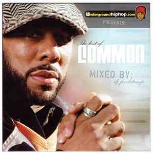 DJ Foodstamp - The Best Of Common download mp3 flac
