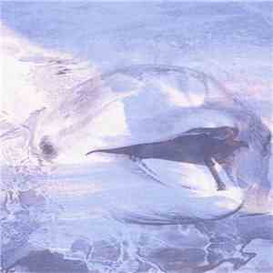 Dolphins Into The Future - Voyage download free