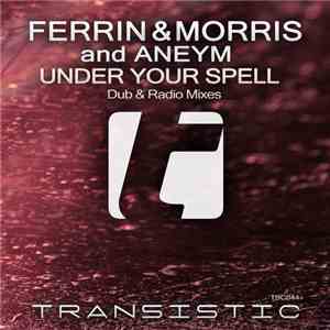 Ferrin & Morris And Aneym - Under Your Spell download mp3 flac