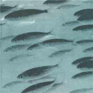 Flying Saucer Attack / Jessamine - At Night / From Here To And Now Otherwise download mp3 flac