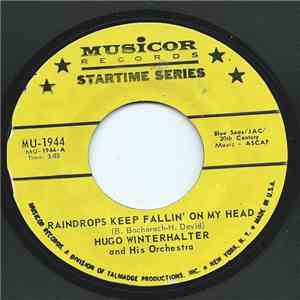 Hugo Winterhalter And His Orchestra - Raindrops Keep Fallin' On My Head download mp3 flac