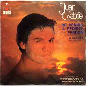 Juan Gabriel - He Venido A Pedirte Perdon / El Noa-Noa download mp3 flac