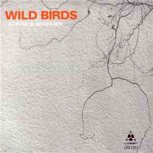 Kvinge & Rognlien - Wild Birds download mp3 flac