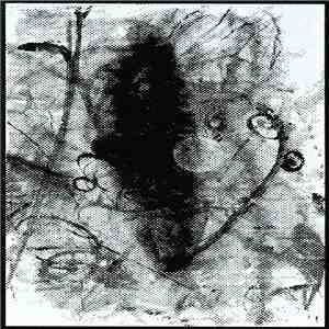 Miguel A. Garcia - Argiope download mp3 flac