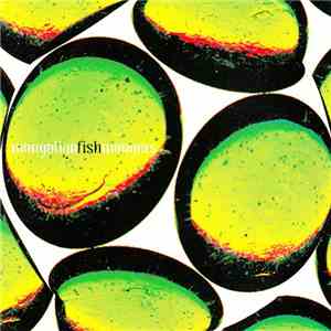 Mongolian Fishmongers - Shonkmaster download mp3 flac