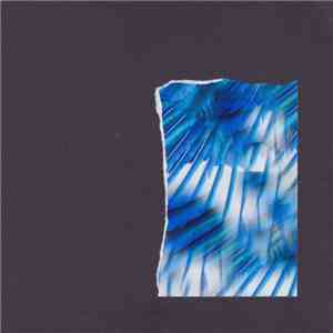 Neil Campbell - Magpie EVP download mp3 flac
