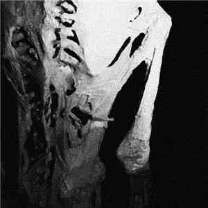 Nick Shutter - Disintegration download free