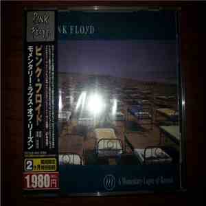 Pink Floyd - A Momentary Lapse Of Reason download mp3 flac