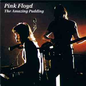 Pink Floyd - The Amazing Pudding download mp3 flac