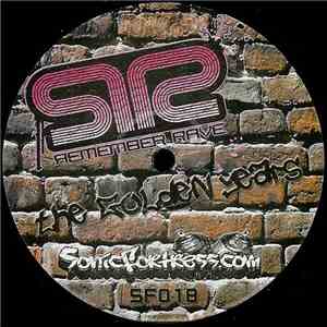 Remember Rave - The Golden Years download mp3 flac