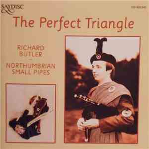 Richard Butler  - The Perfect Triangle download mp3 flac