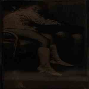 Seagull Overseas - Last Train Home download mp3 flac