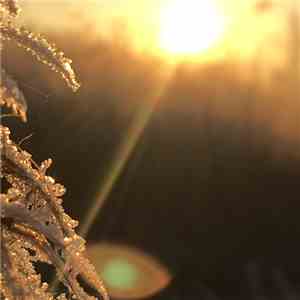 Snufmumriko - At First Light download free