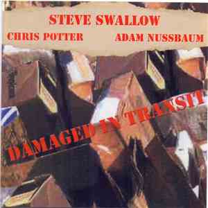 Steve Swallow - Damaged In Transit download mp3 flac