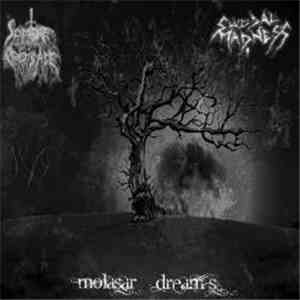 Suicidal Madness / Sombre Croisade - Molasar Dream's download mp3 flac