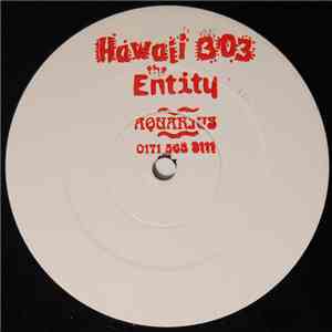 The Entity  - Hawaii 303 download mp3 flac