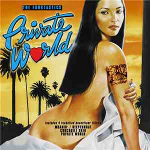 The Funktastics - Private World EP download mp3 flac
