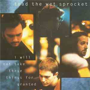 Toad The Wet Sprocket - I Will Not Take These Things For Granted download free