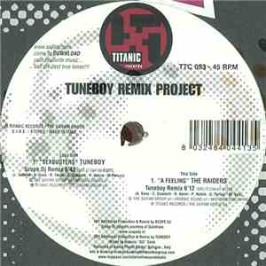 Tuneboy / The Raiders - Tuneboy Remix Project download free