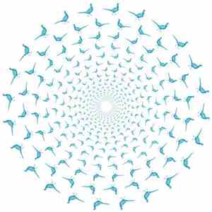 UNI.OMNI - Acceptance Resistance download mp3 flac