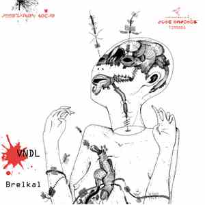 VNDL - Brelkal download mp3 flac