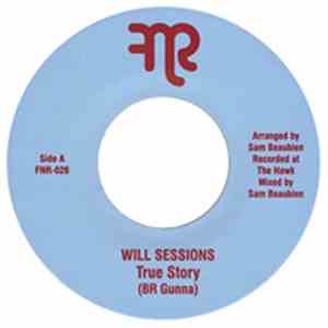Will Sessions - True Story / Dub Rock download free